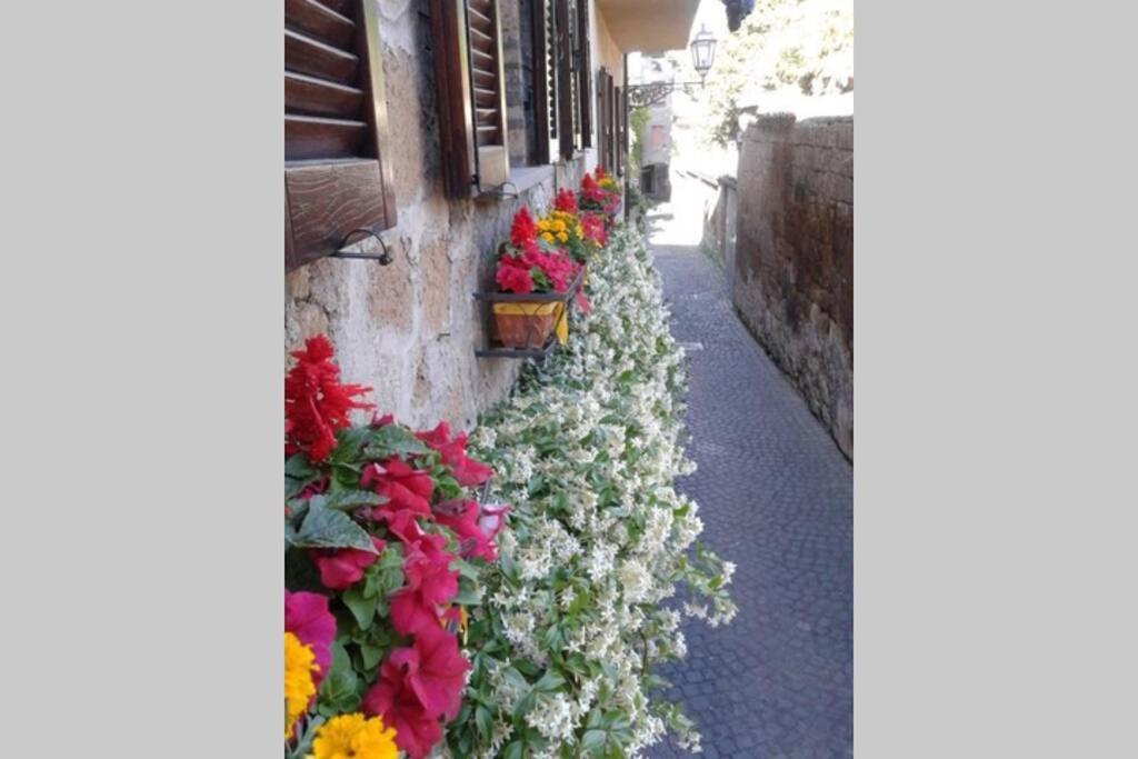 Vila Il Gelsomino Di Isia Orvieto Exteriér fotografie