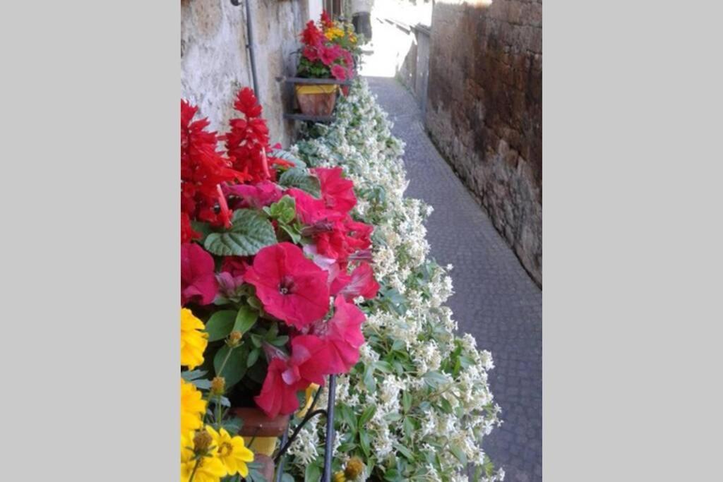 Vila Il Gelsomino Di Isia Orvieto Exteriér fotografie